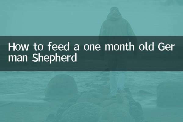 How to feed a one month old German Shepherd