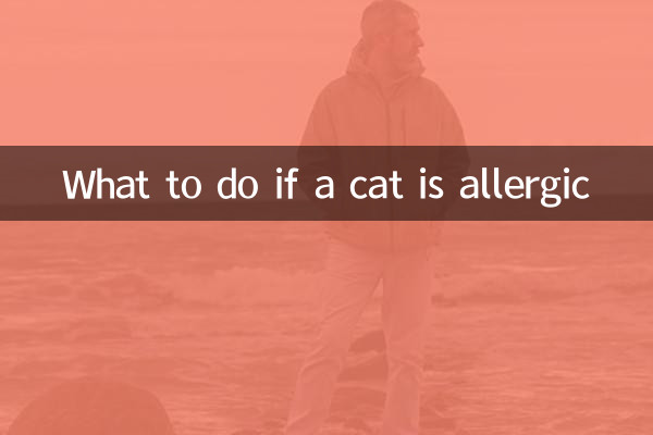 Cosa fare se un gatto è allergico