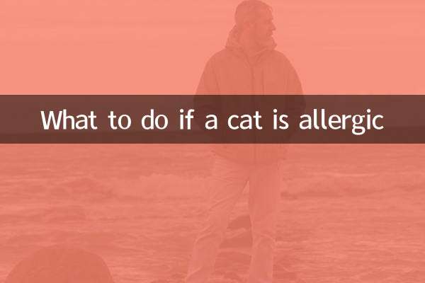Cosa fare se un gatto è allergico