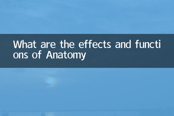 Quali sono gli effetti e le funzioni dell'anatomia
