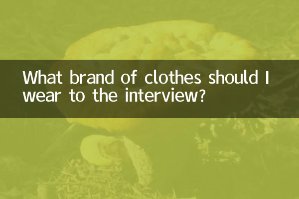 Que marca de roupa devo usar na entrevista?