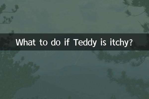Was tun, wenn Teddy juckt?