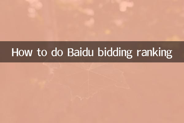 Como fazer a classificação de lances do Baidu