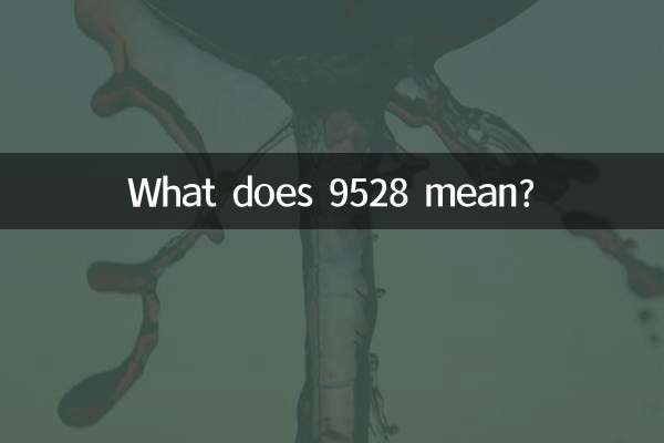 What does 9528 mean?