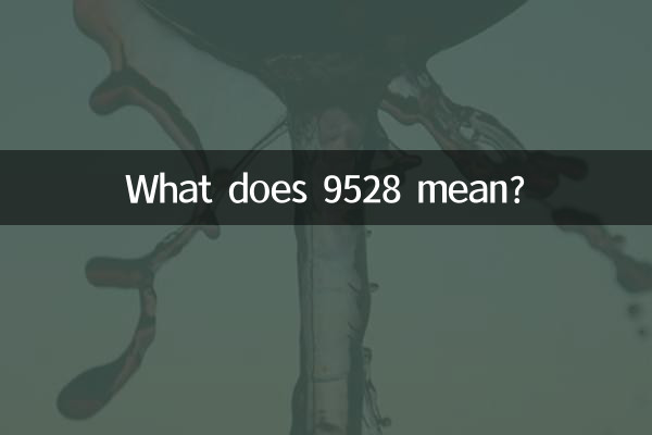 What does 9528 mean?