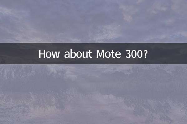 摩特300怎么样