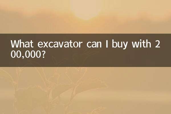 ¿Qué excavadora puedo comprar con 200.000?