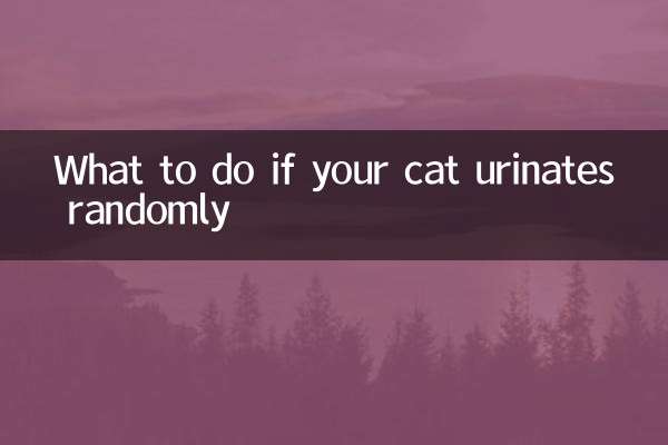 貓咪亂拉尿怎麼辦