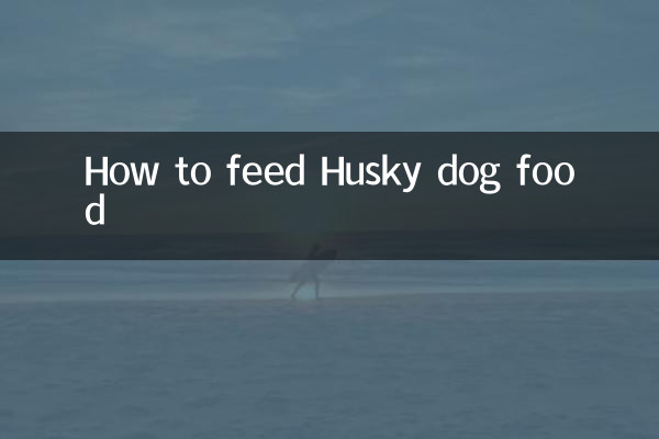Comment donner de la nourriture pour chien Husky