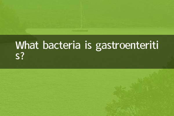 معدے کی کیا بیکٹیریا ہے؟