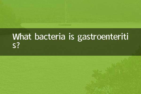 معدے کی کیا بیکٹیریا ہے؟