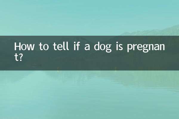 How to tell if a dog is pregnant?