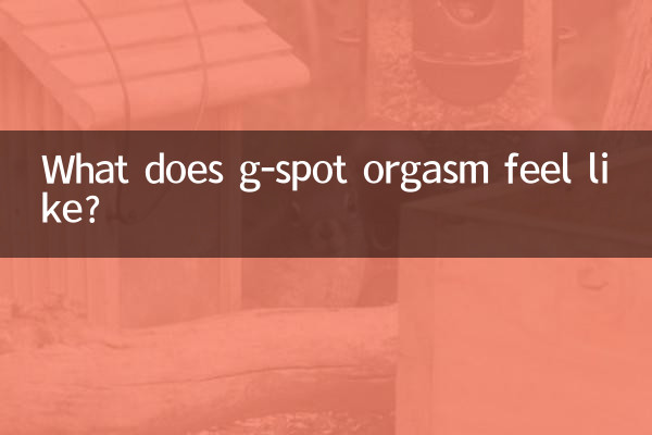 g点高潮什么感觉