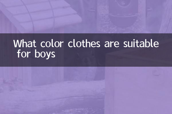 কি রঙের পোশাক ছেলেদের জন্য উপযুক্ত