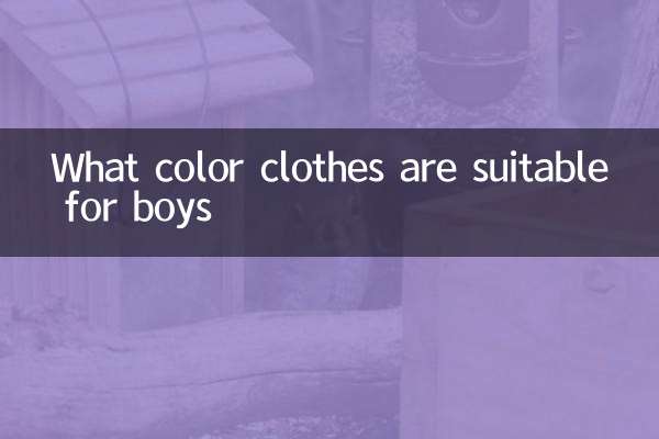 لڑکوں کے لئے کون سے رنگین کپڑے موزوں ہیں