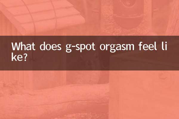 g点高潮什么感觉