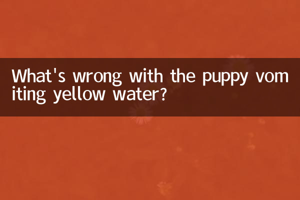 Was ist daran falsch, dass der Welpe gelbes Wasser erbricht?