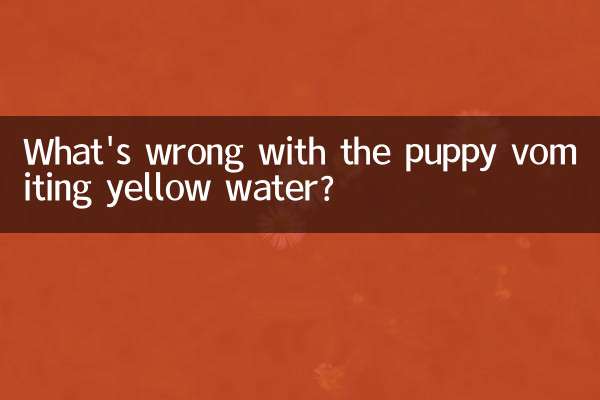 কুকুরছানা হলুদ জল বমি সঙ্গে দোষ কি?
