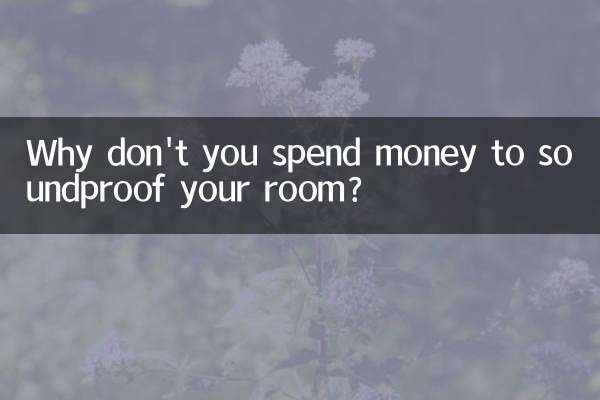 Why don't you spend money to soundproof your room?