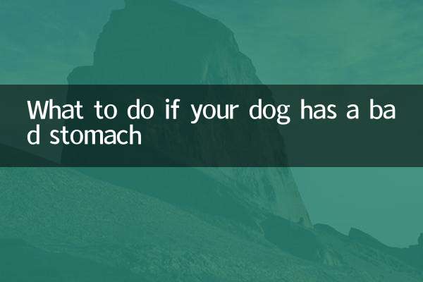 What to do if your dog has a bad stomach