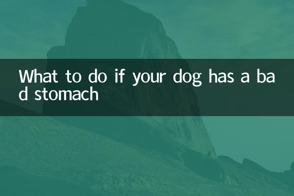 What to do if your dog has a bad stomach