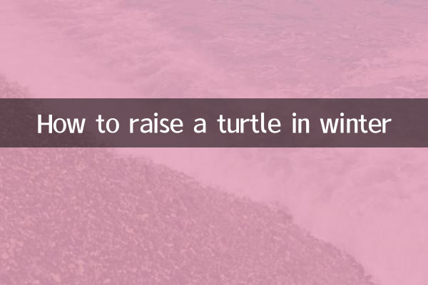 কিভাবে শীতকালে একটি কচ্ছপ বাড়াতে