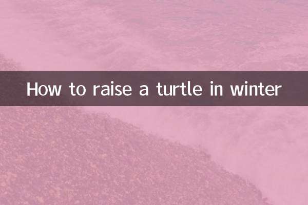 Как вырастить черепаху зимой