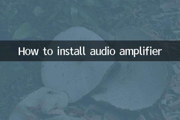 So installieren Sie einen Audioverstärker
