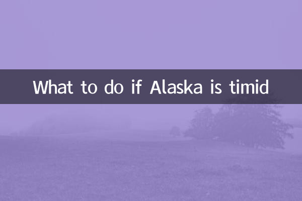 ماذا تفعل إذا كانت ألاسكا خجولة