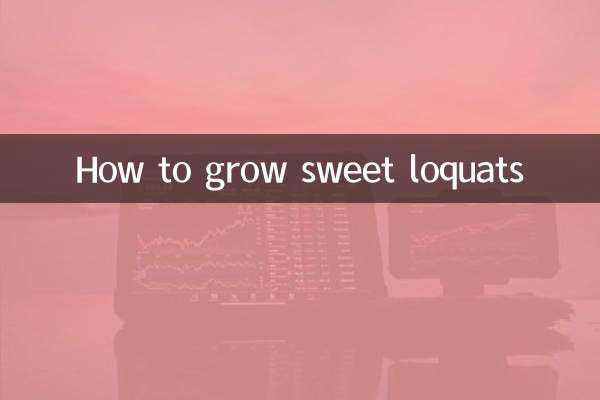 How to grow sweet loquats