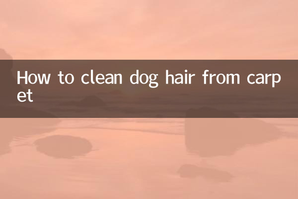 How to clean dog hair from carpet