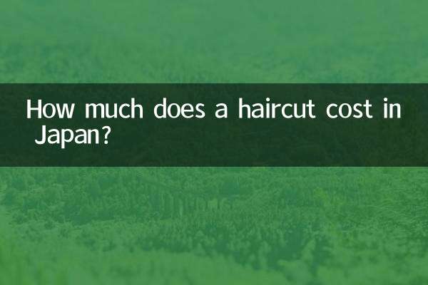 How much does a haircut cost in Japan?