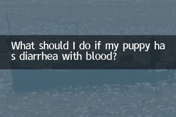 আমার কুকুরছানা রক্তের সাথে ডায়রিয়া হলে আমার কি করা উচিত?