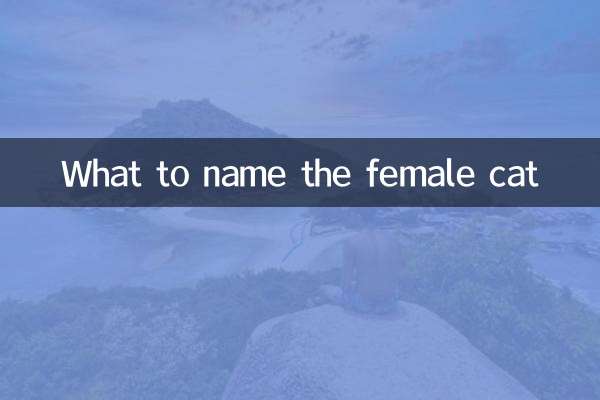 What to name the female cat
