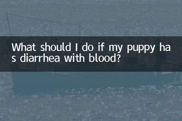 子犬が血を伴う下痢をした場合はどうすればよいですか?