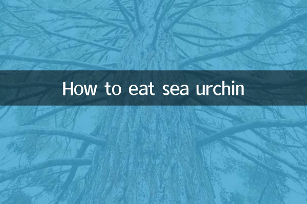 How to eat sea urchin