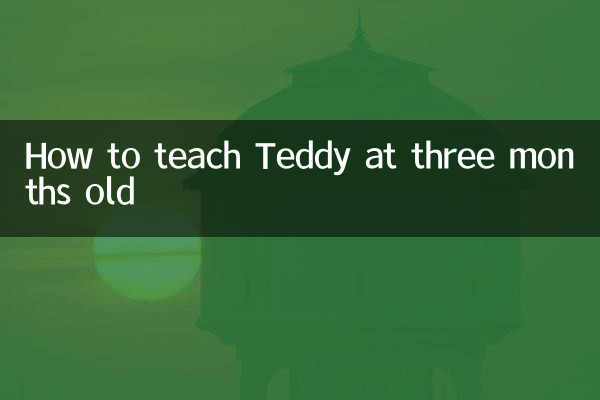 तीन महीने की उम्र में टेडी को कैसे सिखाएं?