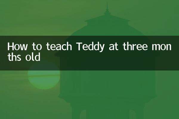 How to teach Teddy at three months old