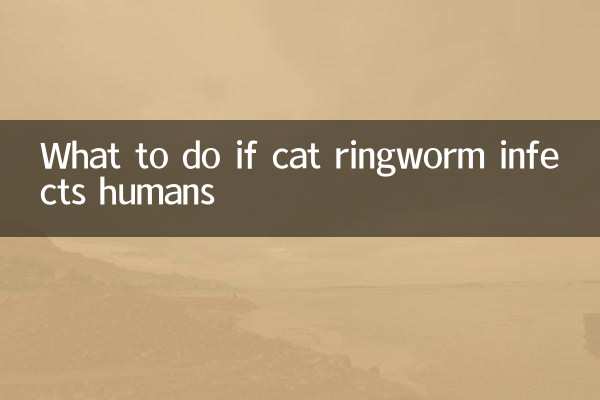 Qué hacer si la tiña felina infecta a los humanos