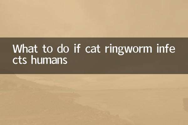 বিড়ালের দাদ মানুষকে সংক্রমিত করলে কী করবেন