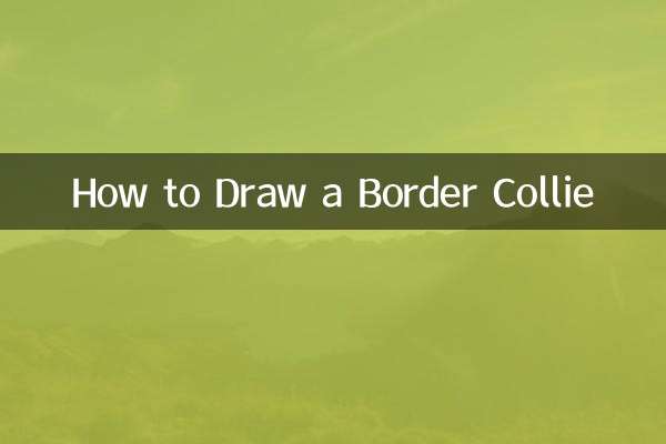 ボーダーコリーの描き方