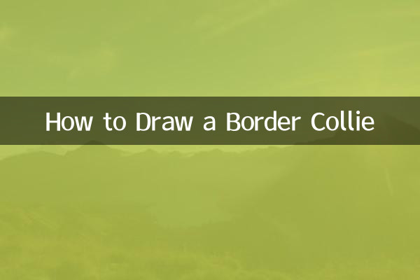How to Draw a Border Collie