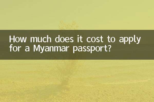 هزینه درخواست پاسپورت میانمار چقدر است؟