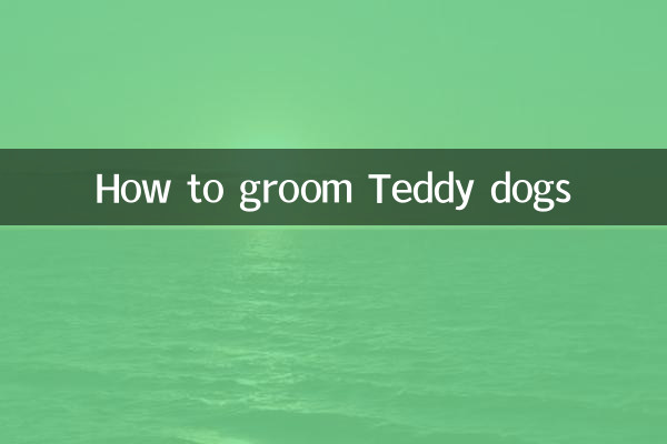 Comment toiletter les chiens Teddy