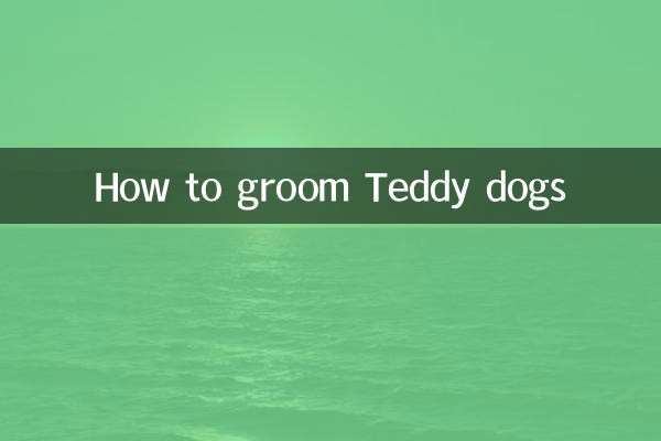 Come governare i cani Teddy