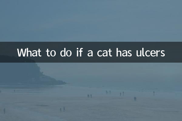 বিড়ালের আলসার হলে কী করবেন