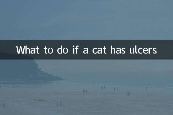 বিড়ালের আলসার হলে কী করবেন