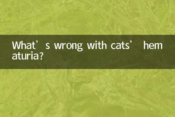 بلیوں کے ہیماتوریا میں کیا غلط ہے؟