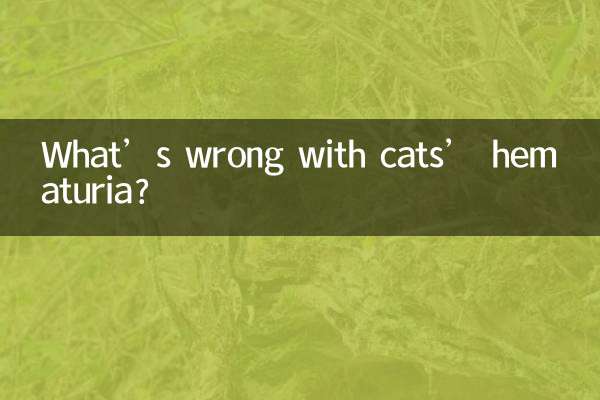 بلیوں کے ہیماتوریا میں کیا غلط ہے؟