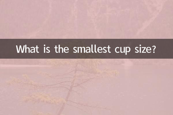 ¿Cuál es la talla de copa más pequeña?